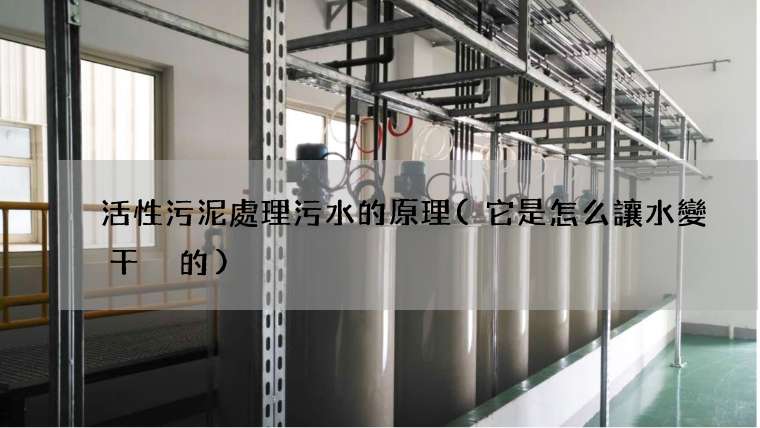 活性污泥處理污水的原理(它是怎么讓水變干凈的)
